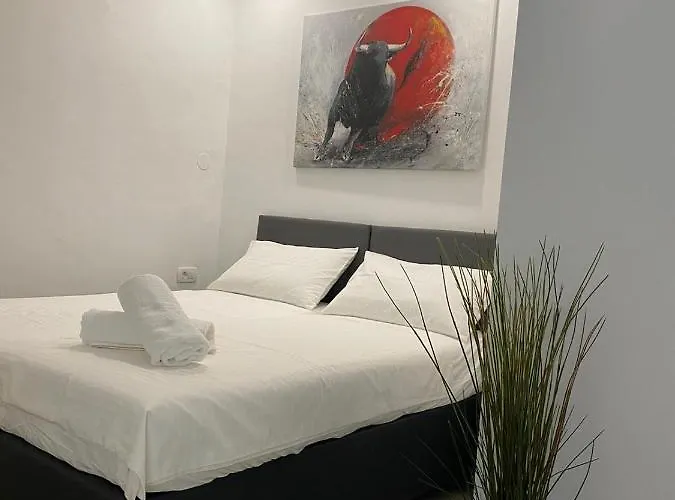 Koper2stay * コペル